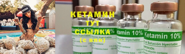 шишки Абаза