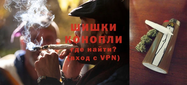 шишки Абаза