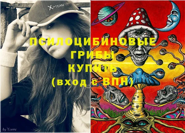 шишки Абаза