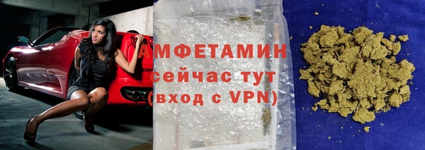 шишки Абаза