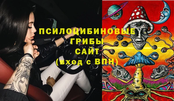 тгк Абинск