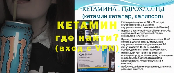 шишки Абаза