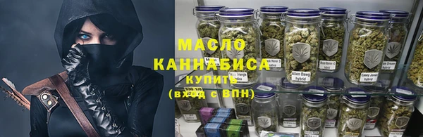 шишки Абаза