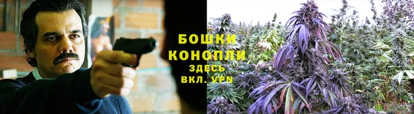 не бодяженный Нефтекумск