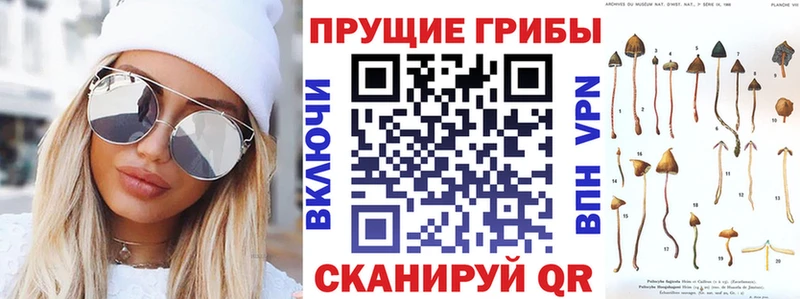 Галлюциногенные грибы мицелий купить наркотики цена Циолковский