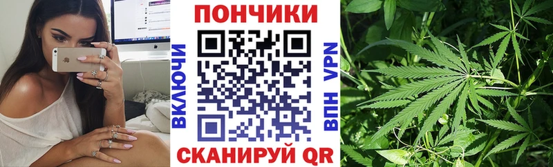 где купить наркотик Циолковский МАРИХУАНА марихуана